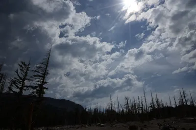 DSC_2951 (Large).JPG